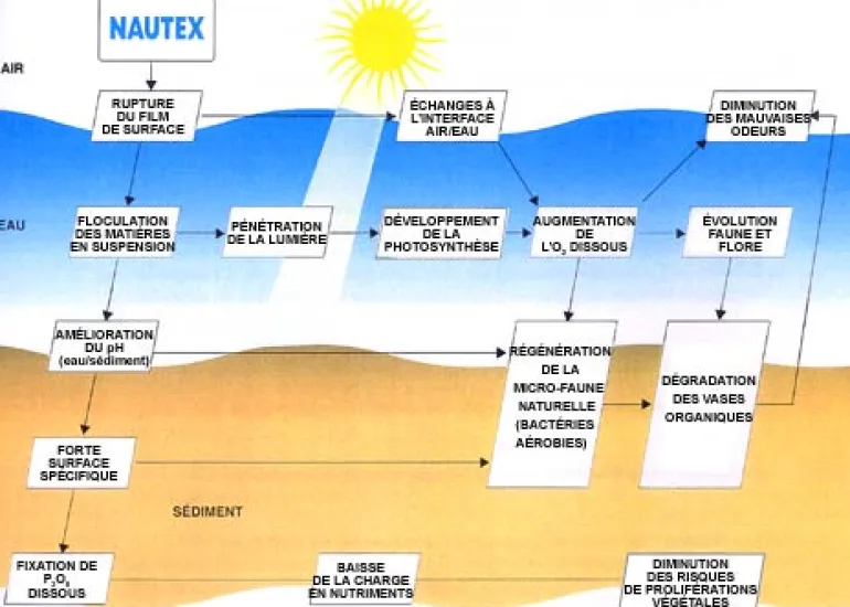 NAUTEX Craie coccolithique lutte contre l'envasement 25 kg