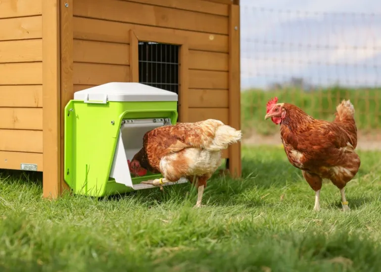 Nourrisseur volaille avec dispositif SmartCoop 7,5 kg KERBL
