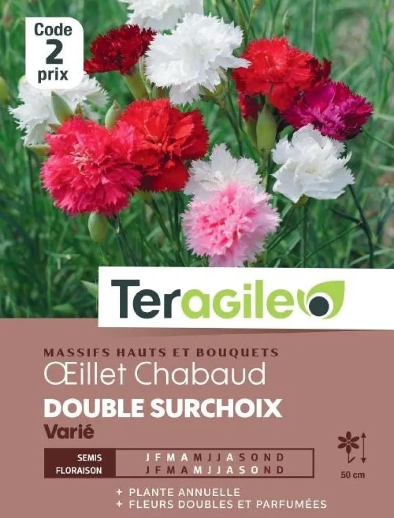 Oeillet Chabaud Double Surchoix Varié 1g TERAGILE