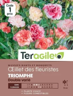Oeillet des Fleuristes Triomphe Double Varié 1g TERAGILE