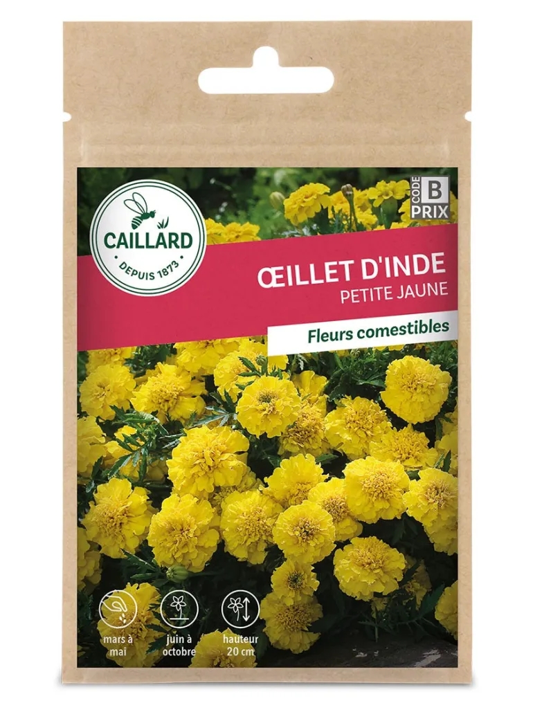 Oeillet d'Inde Petite Jaune 1g CAILLARD
