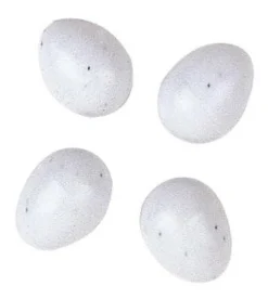 Oeufs factices FPI 4310