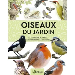 Oiseaux du jardin