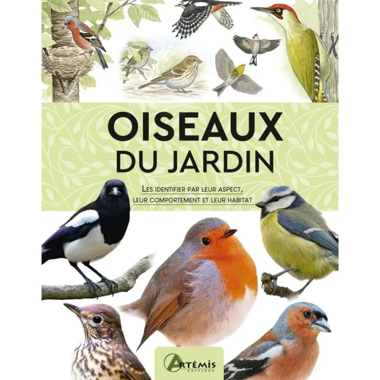 Oiseaux du jardin