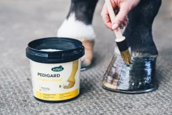 Onguent blond Pedigard 1L RAVENE