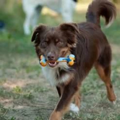 Os caoutchouc robuste jeu éducatif pour chien 15 cm
