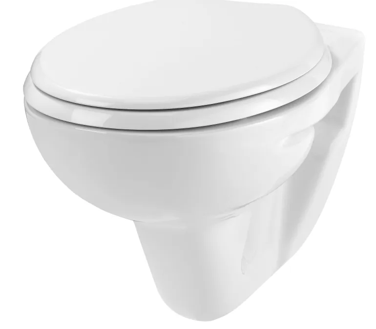 Pack complet WC suspendu cuvette + plaque Lineo Stone