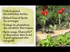 Paillage naturel Chanvrelin 0,95 x 0,95 m NORTENE