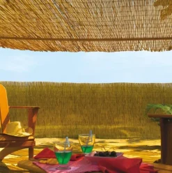 Paillon soleil naturel Reedcane 2 x 5 m