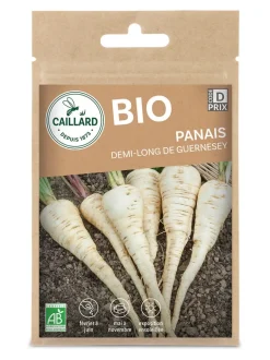 Panais demi-Long de Guernesey Bio 2g CAILLARD