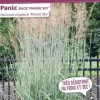 Panic érigé "Prairie Sky" Pot 4.5L SILENCE ÇA POUSSE