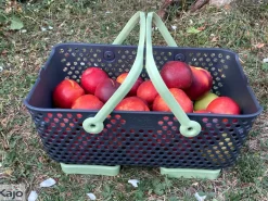 Panier Kajo 15L (x1) gris