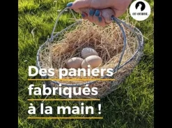 Panier à pommes en grillage 15L