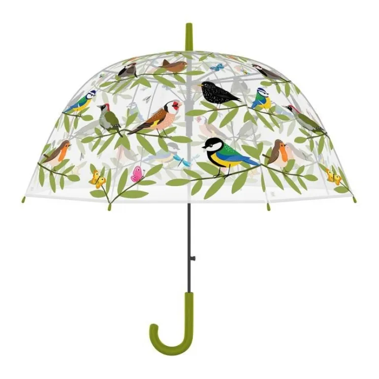 Parapluie transparent oiseaux