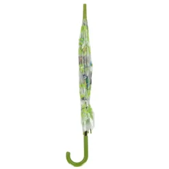 Parapluie transparent oiseaux