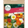 Pavot Nudicaule Varié 0,50g CAILLARD
