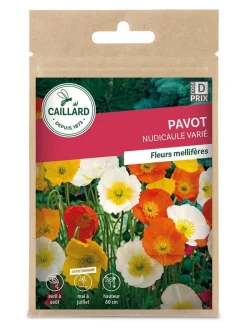 Pavot Nudicaule Varié 0,50g CAILLARD