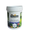 Peinture tropicalisée base végétale 1 L