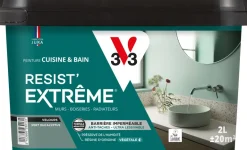 Peinture cuisine et bain Resist Extrême Eucalyptus Vel 2L
