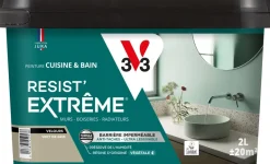 Peinture cuisine et bain Resist Extrême Vert de gris Vel 2L