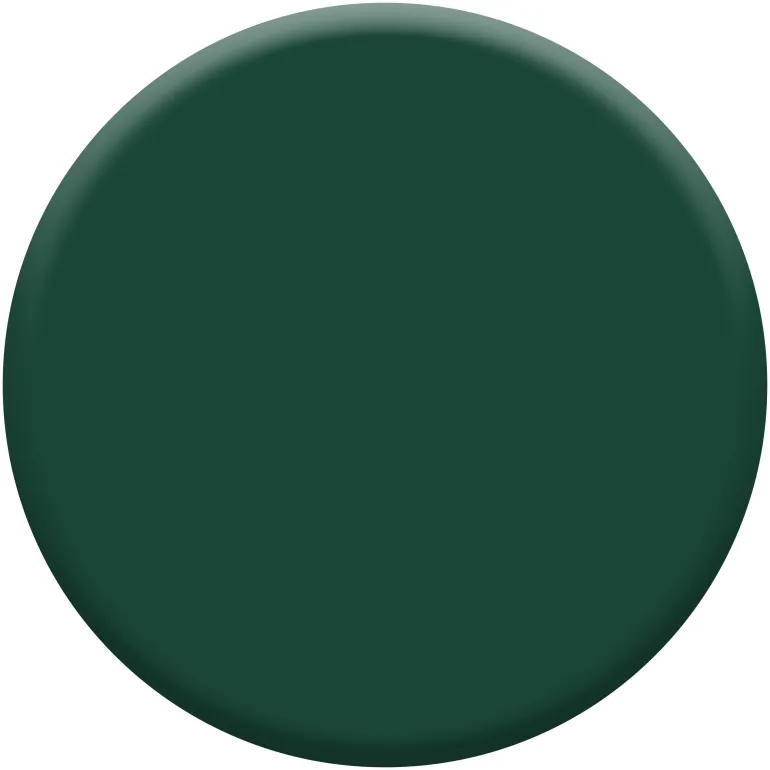 Peinture laque acrylique Valénite vert basque brillant 125ml