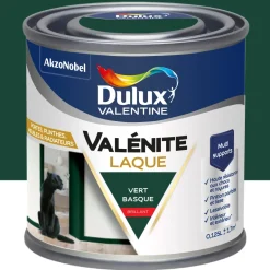 Peinture laque acrylique Valénite vert basque brillant 125ml
