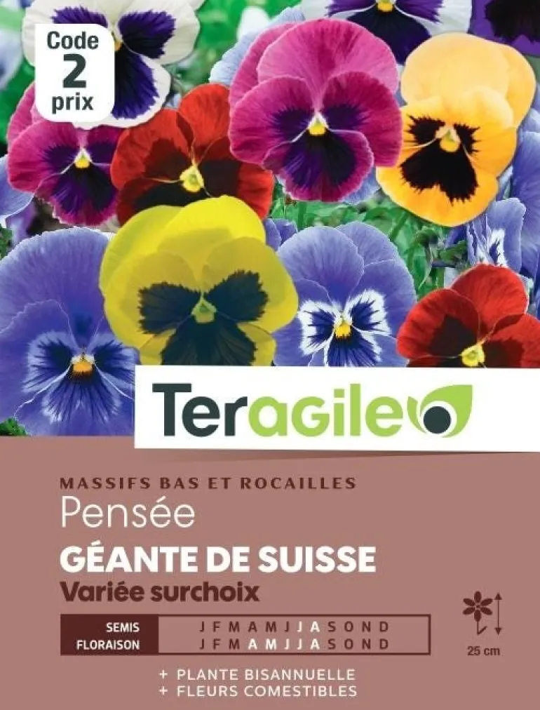 Pensée Géante de Suisse Variée Surchoix 0,5g TERAGILE