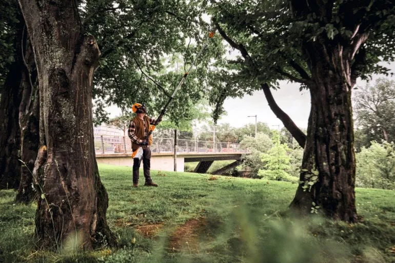Perche élagueuse sur batterie HTA 140B (produit seul) STIHL
