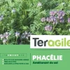 Phacélie 250g TERAGILE