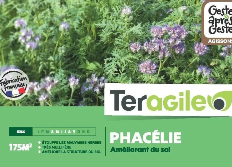 Phacélie 250g TERAGILE