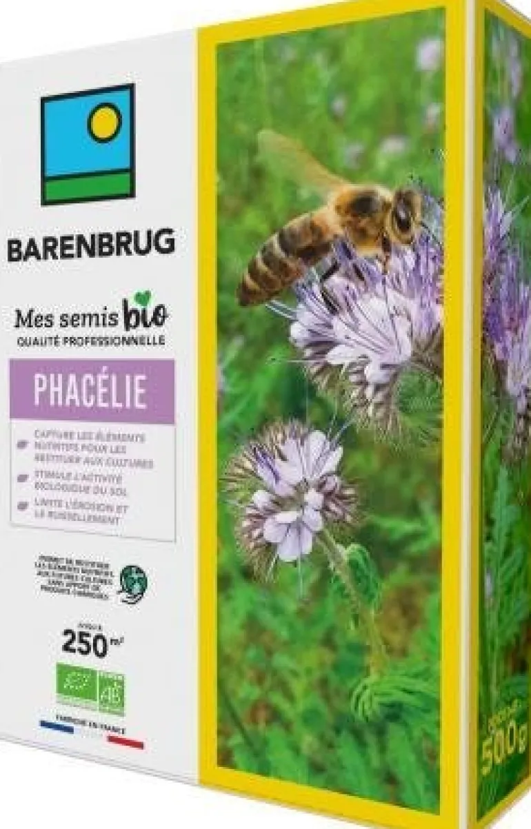 Phacélie 500g BARENBRUG