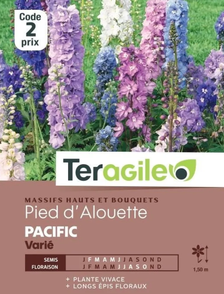 Pied d'Alouette Pacific Varié 0,8g TERAGILE