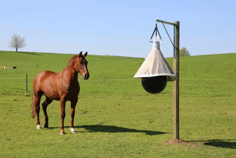 Piège à taon TaonX Eco