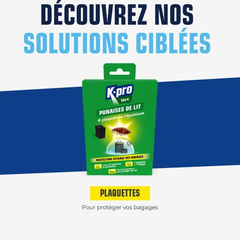Piège contre les punaises de lit (x4)
