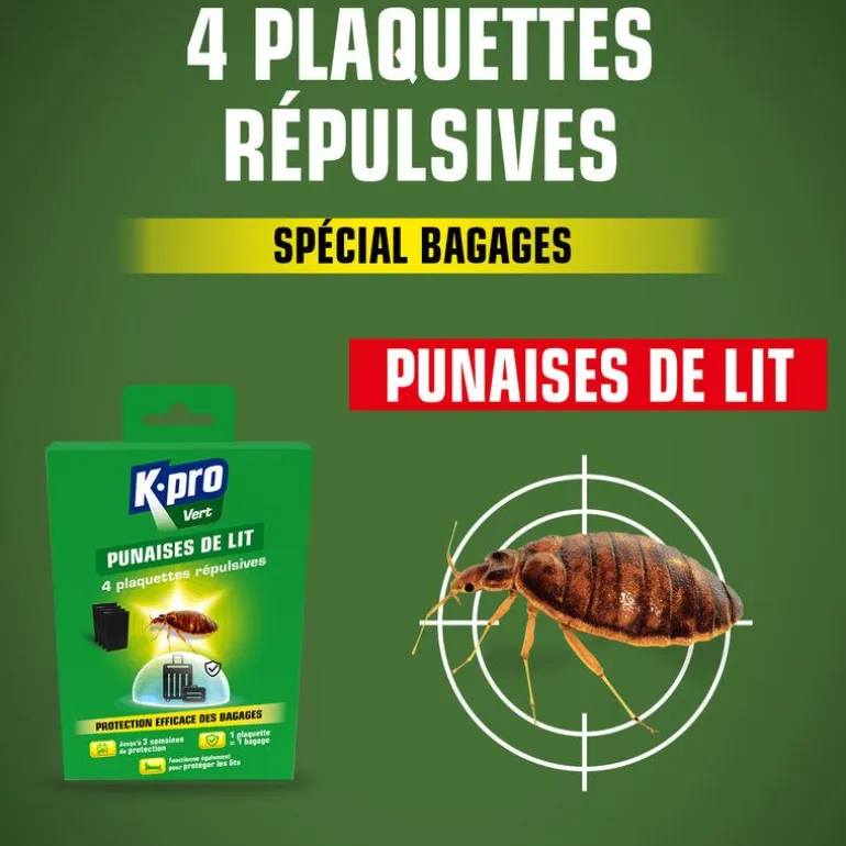 Piège contre les punaises de lit (x4)
