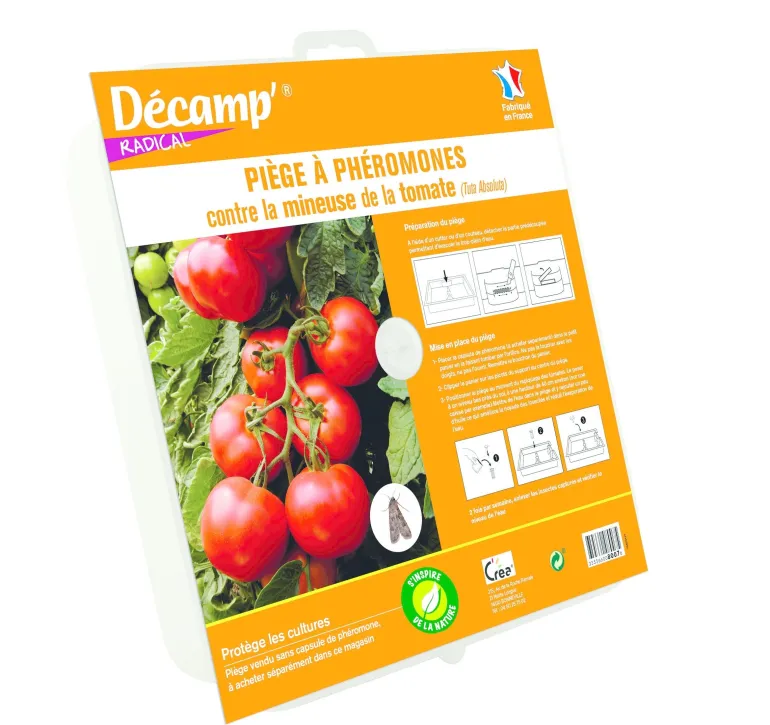 Piège à eau pour la mineuse de la tomate