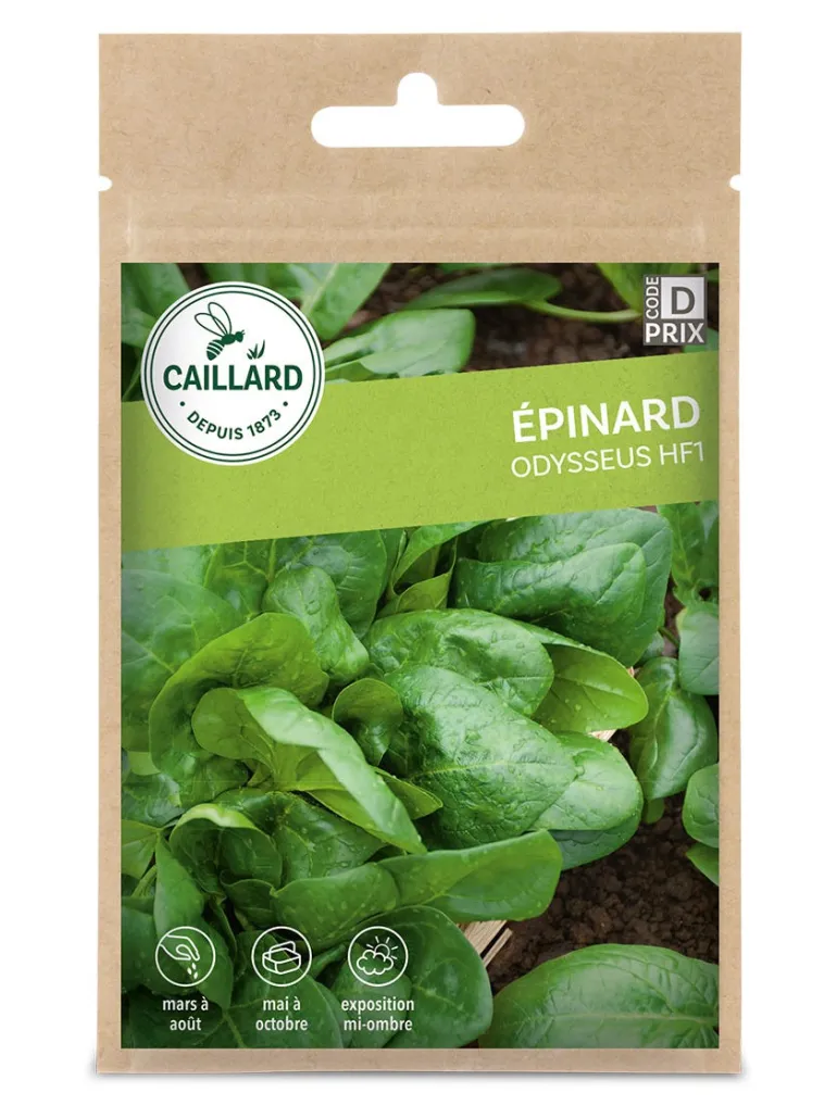 Épinard Odysseus Hf1 10g CAILLARD