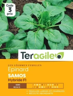 Épinard Samos Hybride F1 10g TERAGILE