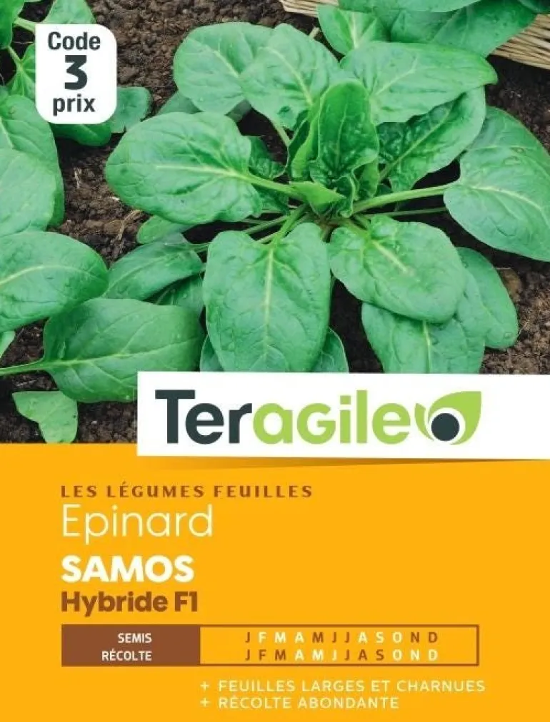 Épinard Samos Hybride F1 10g TERAGILE
