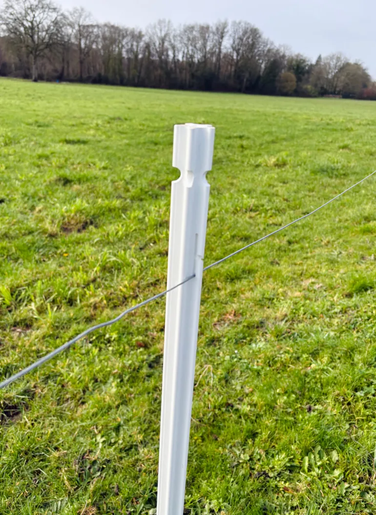 Piquet PVC PIKED® 2 rubans 1,37m (x20)