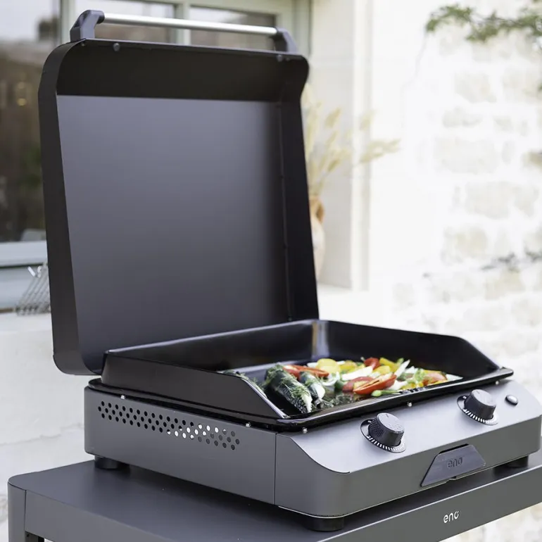Plancha gaz Fusion 60 gris cargo 2 brûleurs