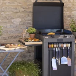 Plancha gaz sur chariot Combo Fusion 60 Gris Cargo