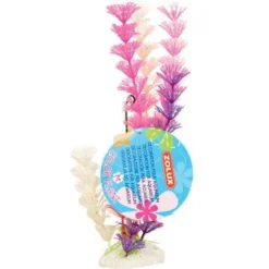 Plante colorée pour aquarium taille M