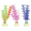 Plante colorée pour aquarium taille S