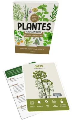 Plantes aromatiques. Cartes en main !