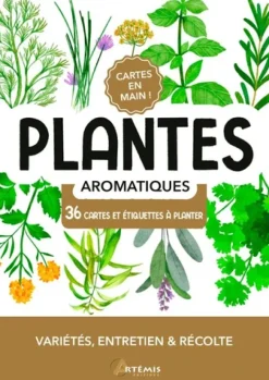 Plantes aromatiques. Cartes en main !
