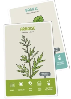 Plantes aromatiques. Cartes en main !