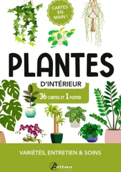 Plantes d'intérieur. Cartes en main !