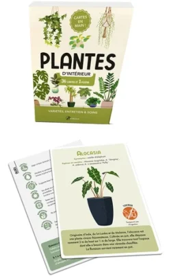 Plantes d'intérieur. Cartes en main !
