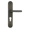 Poignée de porte sur plaque Jade alu gris cylindre 195mm